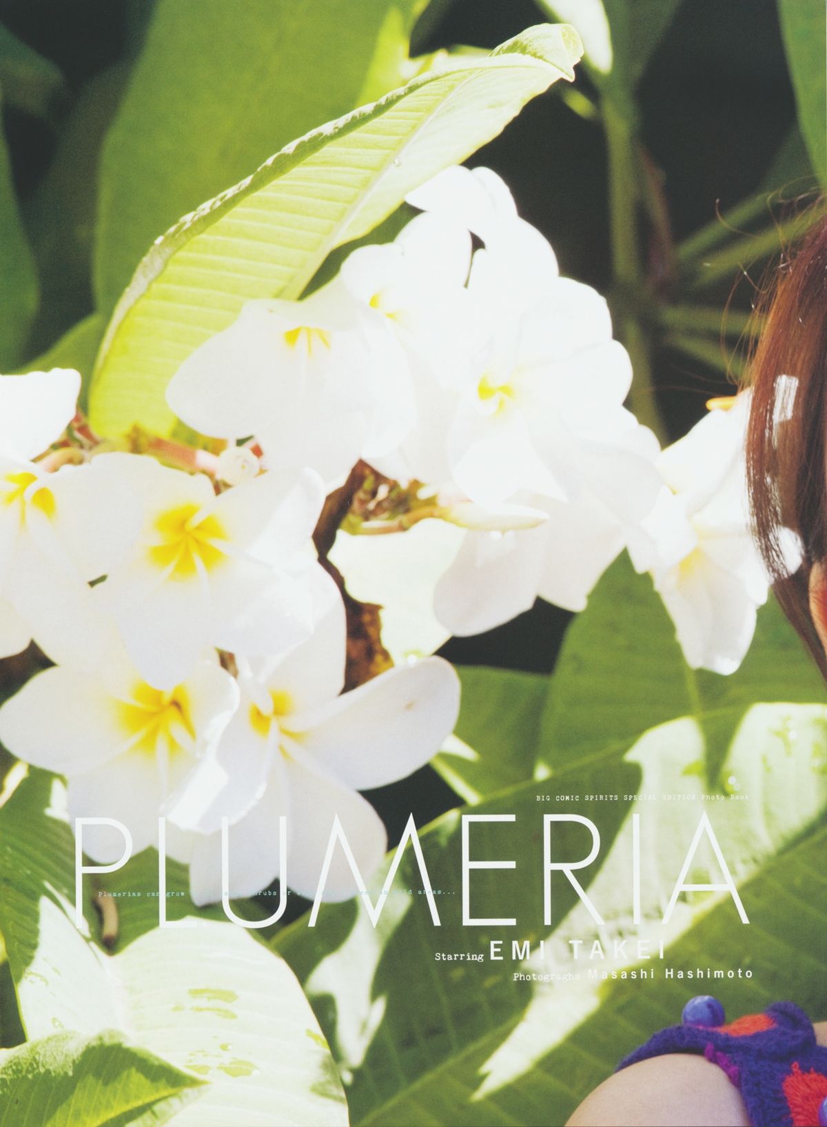 武井咲 《PLUMERIA》 摄影：桥本雅司 [96P] 插图9