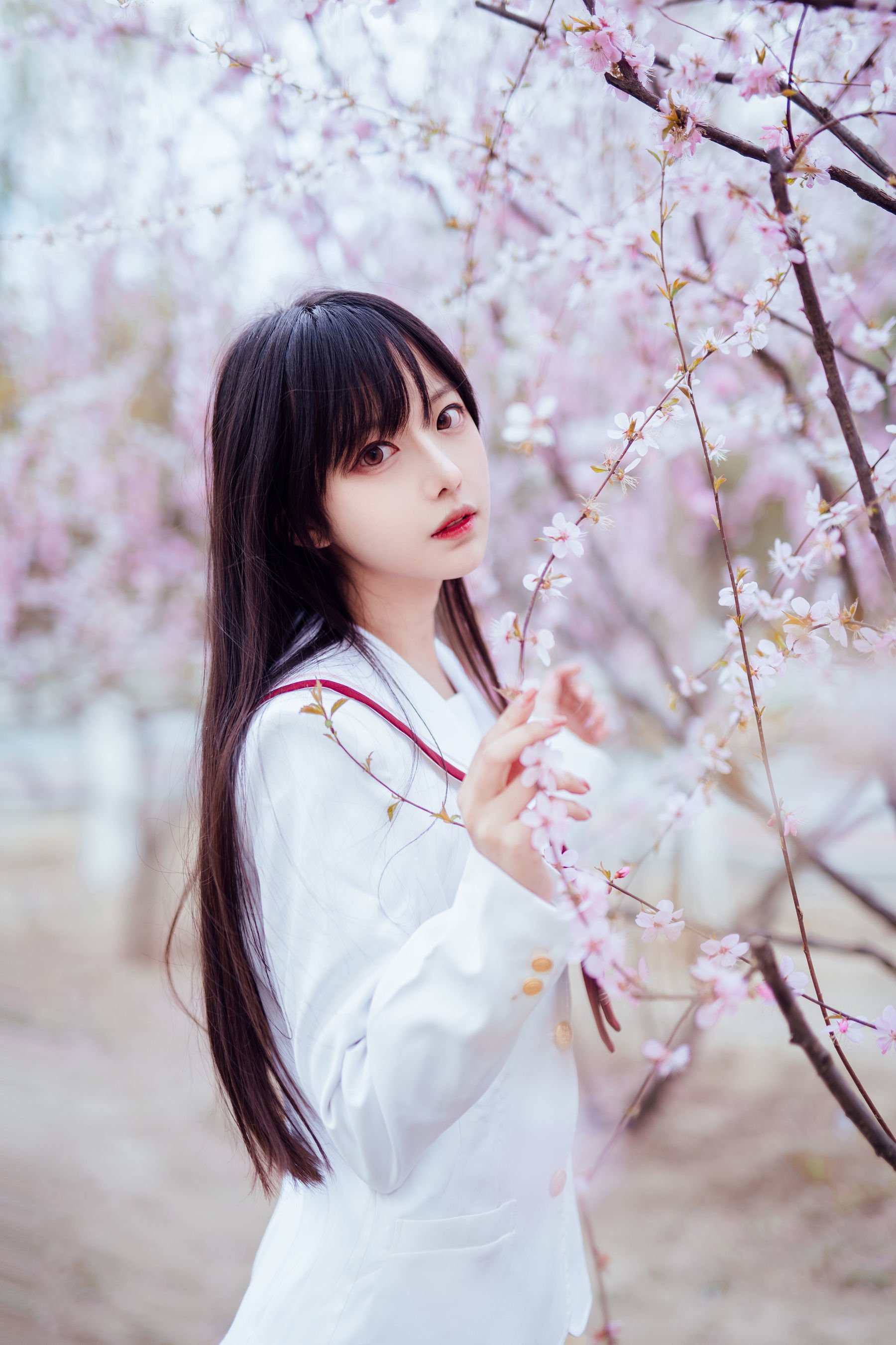 Shika小鹿鹿 – 樱花 [13P] 插图7