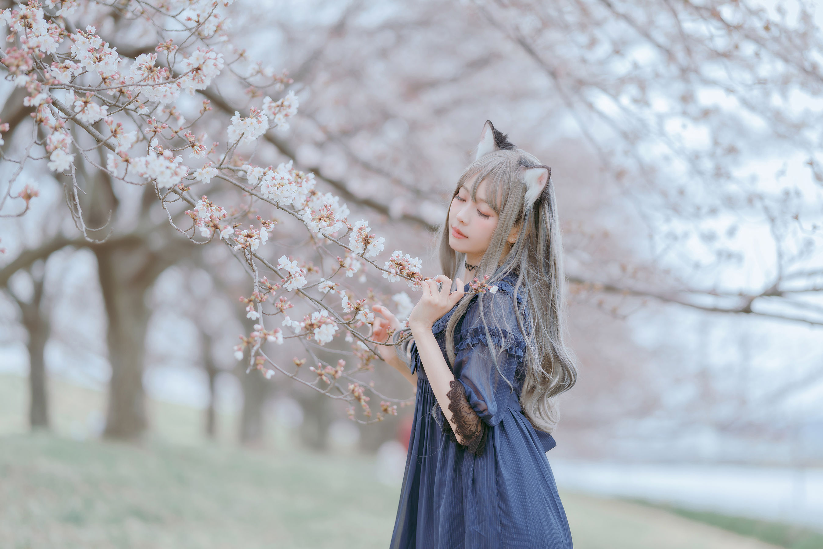 Ely_eee(ElyEE子) – Sakura [64P] 插图7